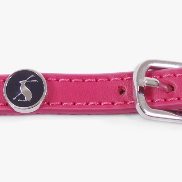Collars, Harnesses & Leads
