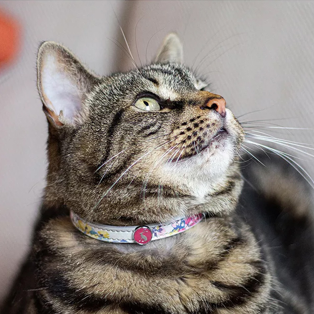 Joules Cambridge Floral Cat Collar Twin Pack