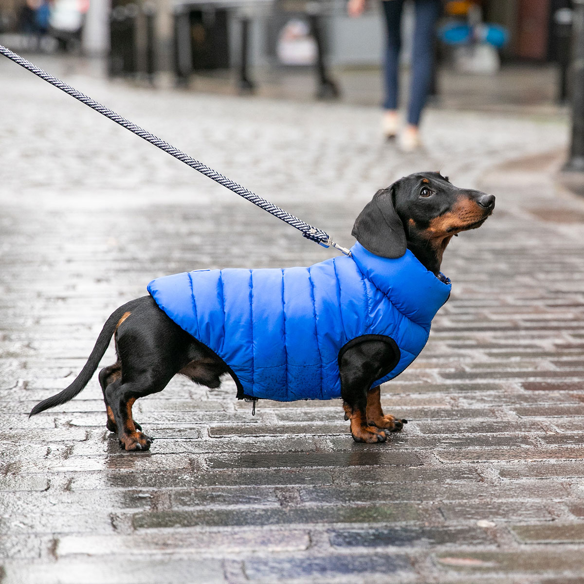 Hugo & Hudson Navy Herringbone Tweed Dog Lead