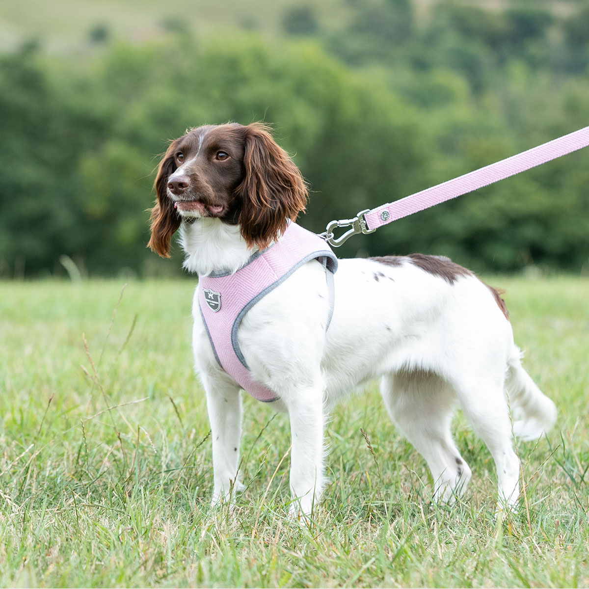 Hugo & Hudson Pink Herringbone Tweed Dog Harness