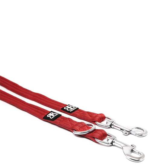 Bully Billows Double Ended Training Lead Red