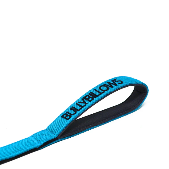 BULLYBILLOWS Swivel Combat Lead | Anti-Tangle & Pressure Tested - Light Blue - Image 3