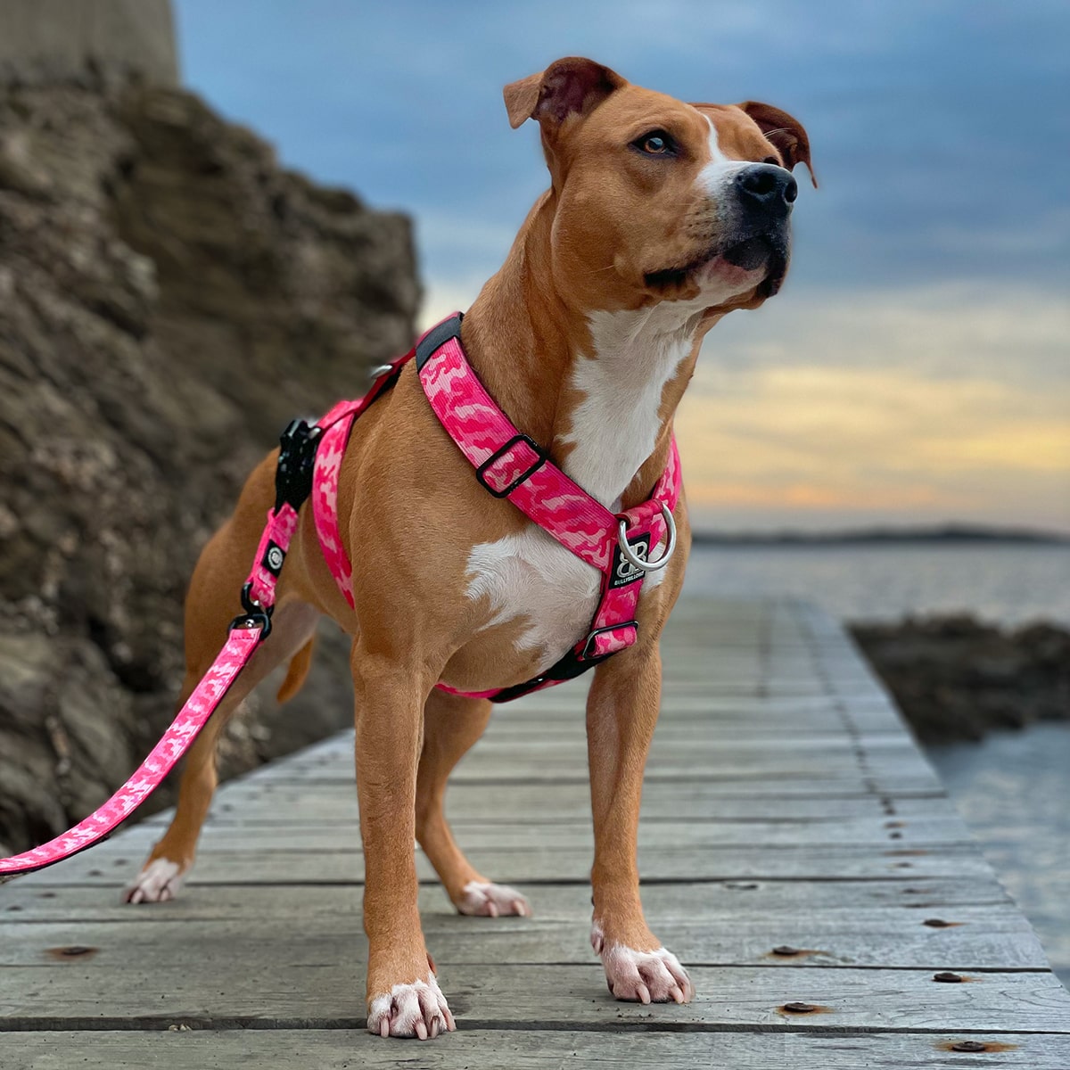 Bullybillows Strong Pink Camo Harness for Large Dogs