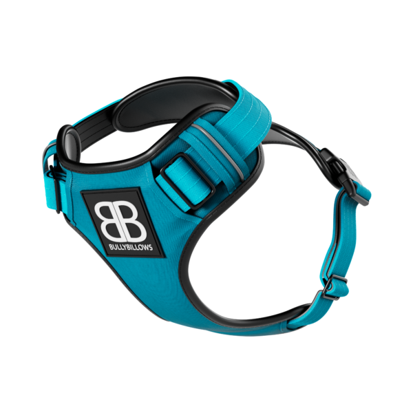 Bully Billows Premium Harness Light Blue