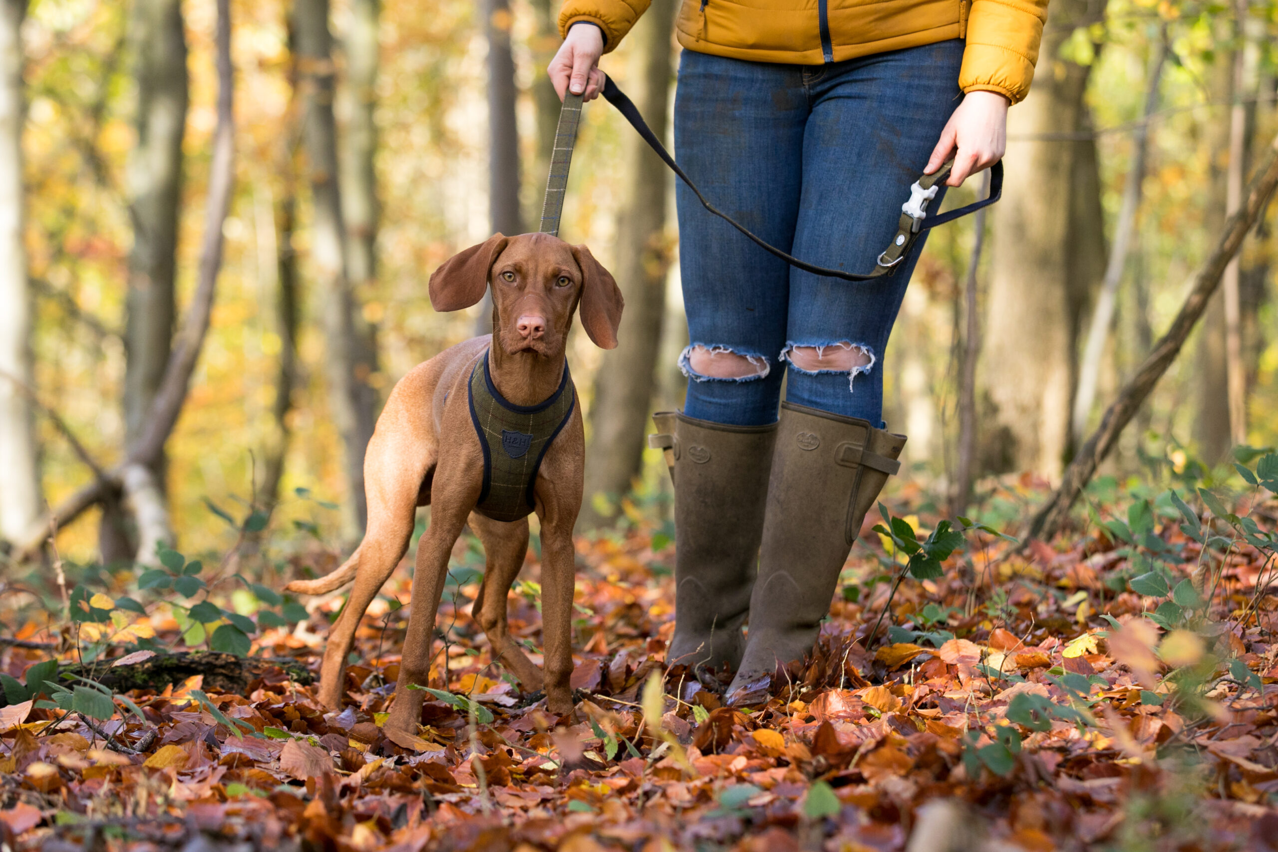 Hugo & Hudson Dark Green Checked Tweed Dog Lead - Image 4