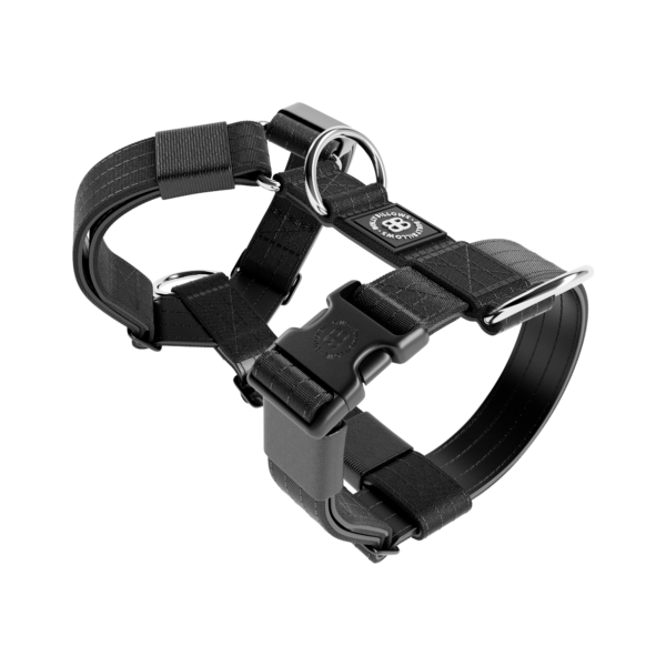 Bully Billows Tri Harness Black
