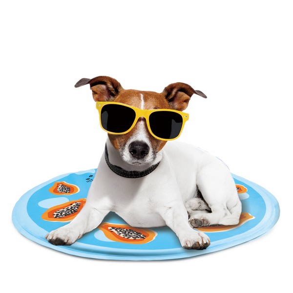 All For Paws Chill Out Papaya Cooling Mat from Catdog Store