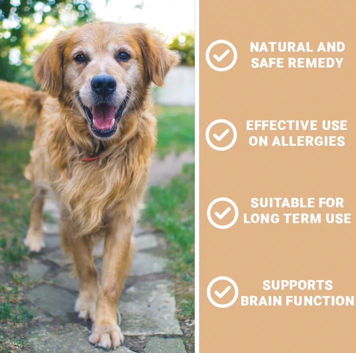Pets Purest 100% Natural Allergy Liquid 50ml from Catdog Store