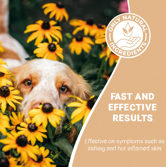 Pets Purest 100% Natural Allergy Liquid 50ml - Image 3