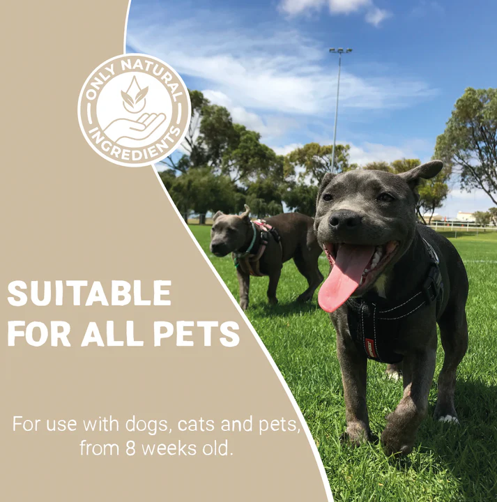 Pets Purest Paw Moisturising & Healing Spray 65ml - Image 4
