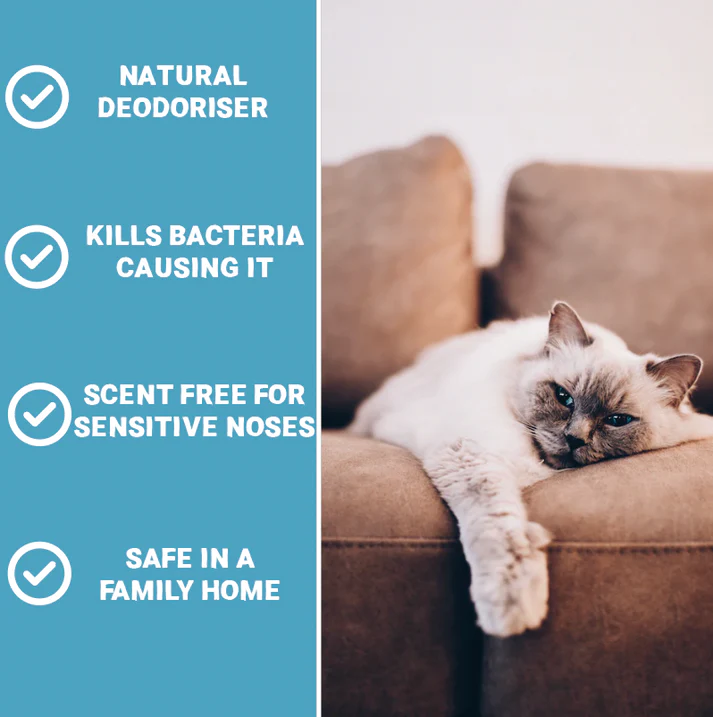 Pets Purest 100% Natural Cat Litter Deodoriser 500ml from Catdog Store
