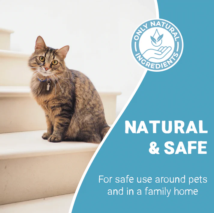 Pets Purest 100% Natural Cat Litter Deodoriser 500ml - Image 4