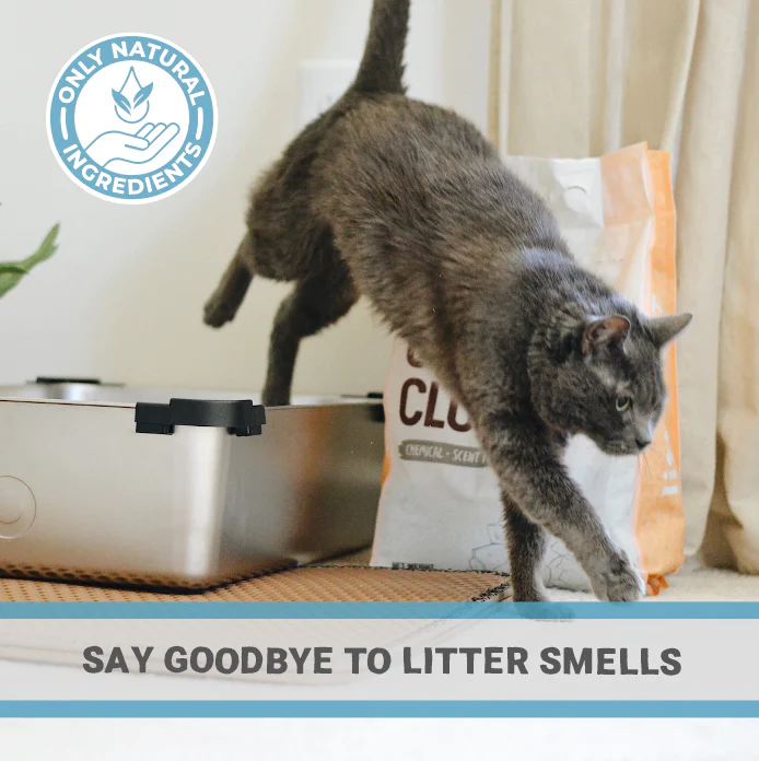 Pets Purest 100% Natural Cat Litter Deodoriser 500ml - Image 6