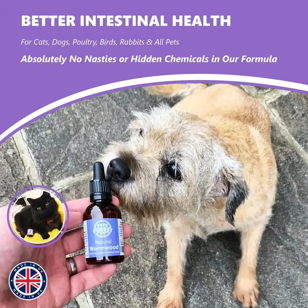 Pets Purest 100% Natural Wormwood Formula | 50ml from Catdog Store