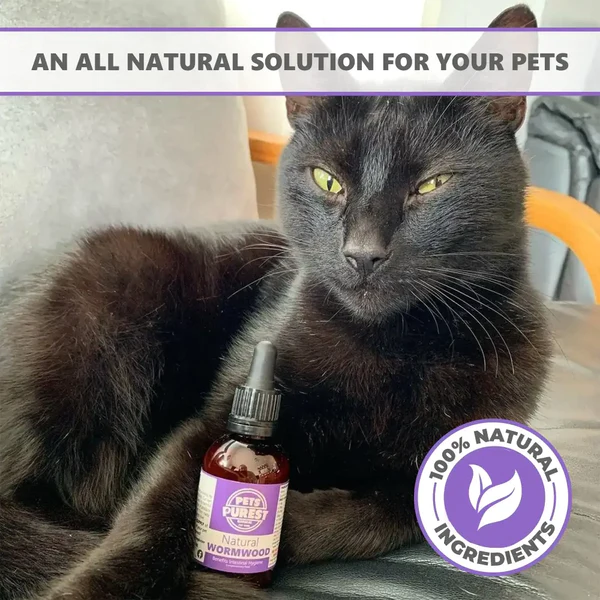 Pets Purest 100% Natural Wormwood Formula | 50ml - Image 6