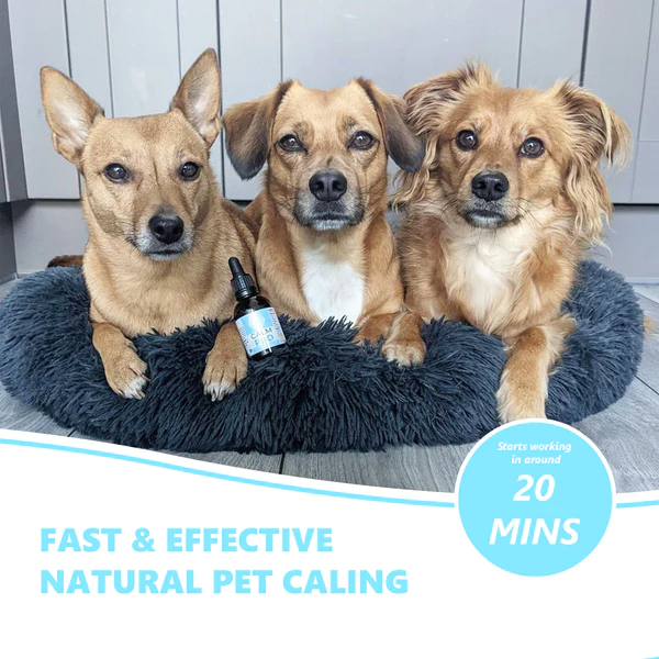 Pets Purest 100% Natural Premium Calming Aid | 50ml - Image 4