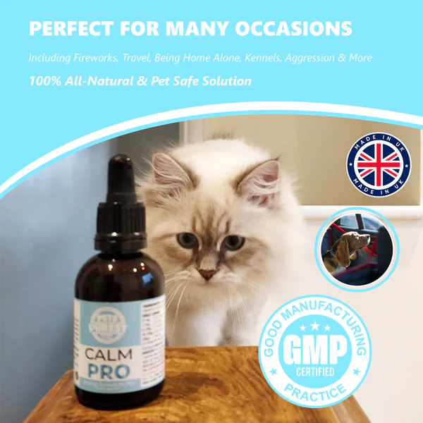 Pets Purest 100% Natural Premium Calming Aid | 50ml - Image 5