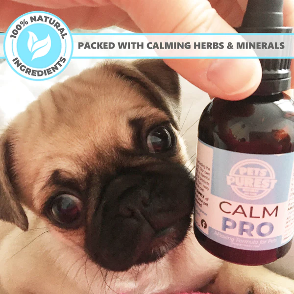Pets Purest 100% Natural Premium Calming Aid | 50ml - Image 6