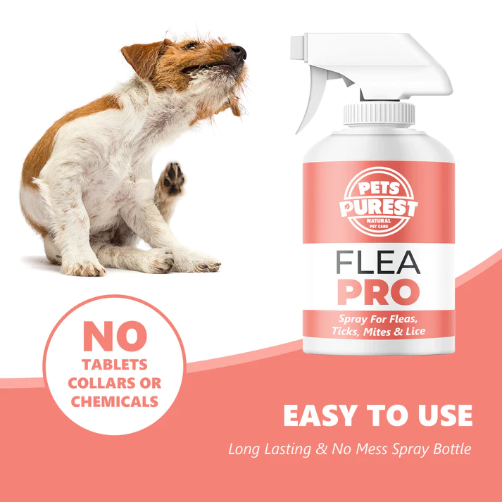 Pets Purest 100% Natural Flea, Lice & Tick Spray | 500ml - Image 3