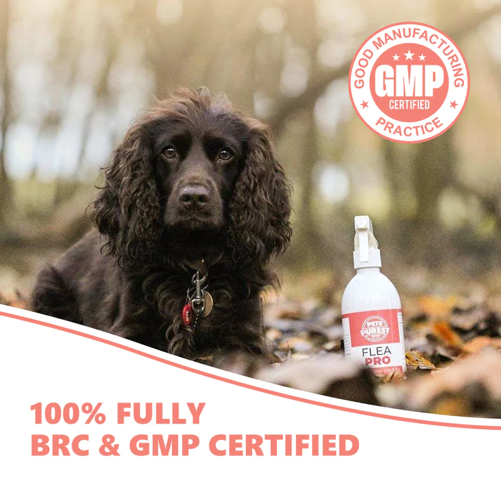 Pets Purest 100% Natural Flea, Lice & Tick Spray | 500ml - Image 4