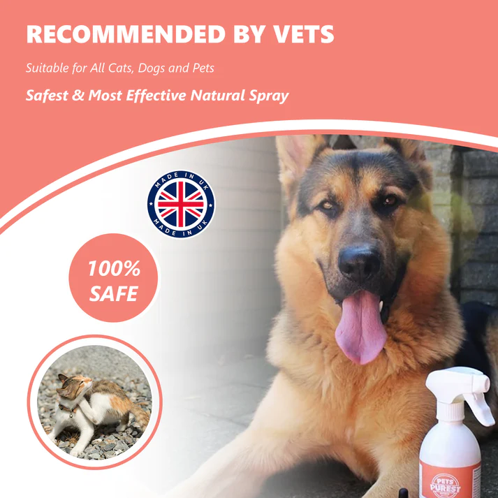 Pets Purest 100% Natural Flea, Lice & Tick Spray | 500ml - Image 5