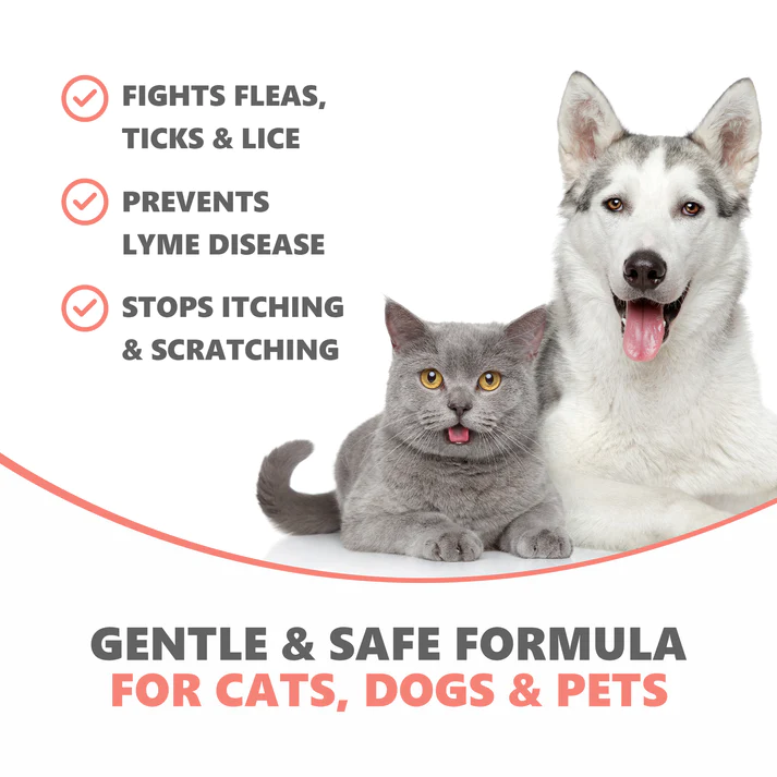 Pets Purest 100% Natural Flea, Lice & Tick Spray | 500ml - Image 2