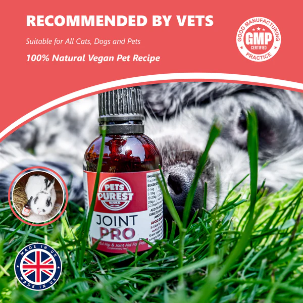 Pets Purest 100% Natural Joint & Hip Aid | 50ml - Image 5