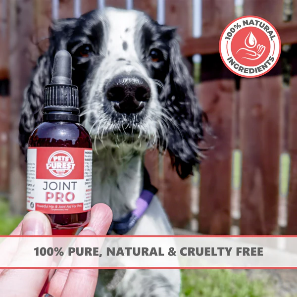 Pets Purest 100% Natural Joint & Hip Aid | 50ml from Catdog Store