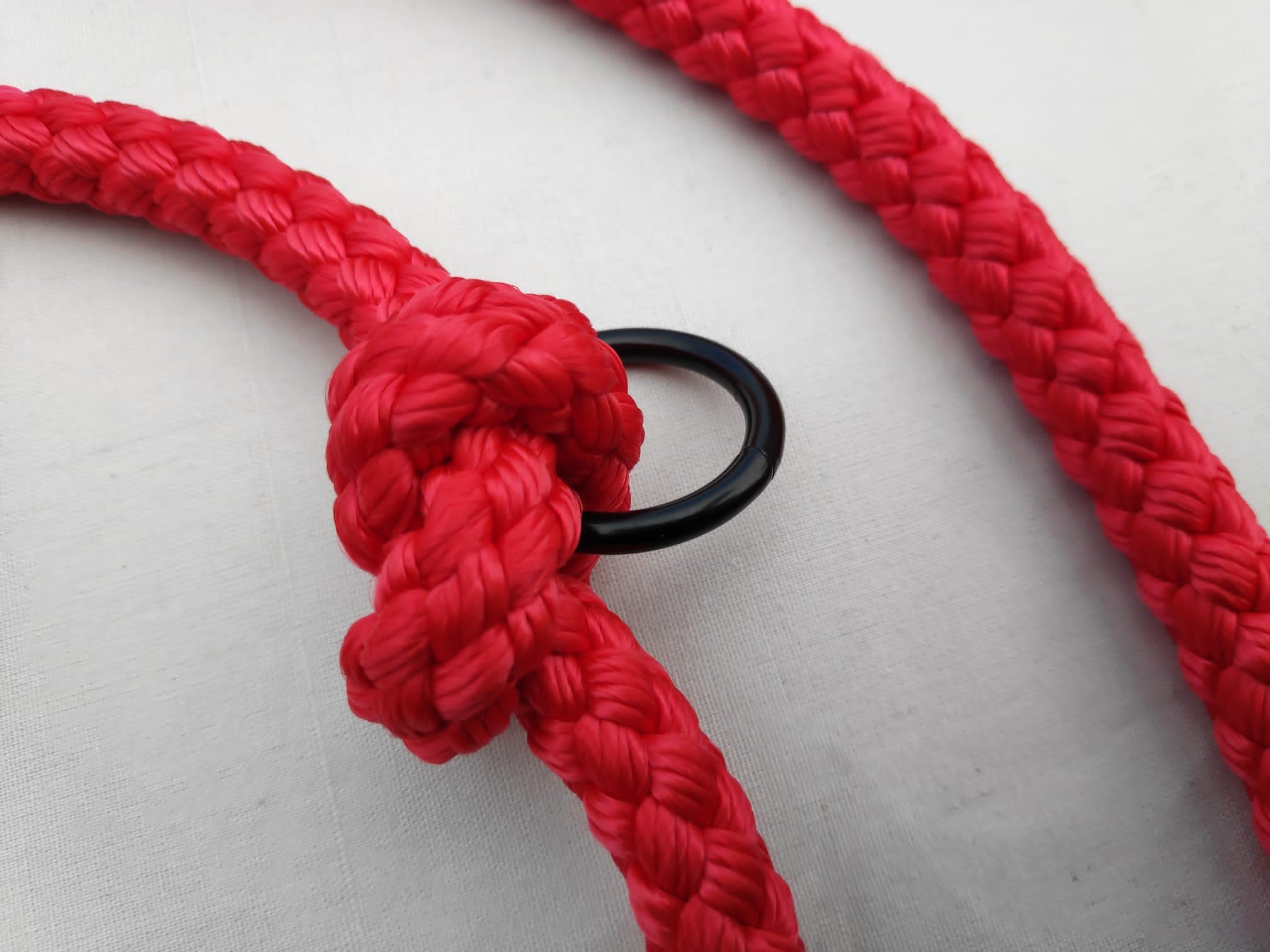 Delta Commander Training & Hands Free Rope Double Ended Dog Lead | 2.2 Metre | Red - Image 6