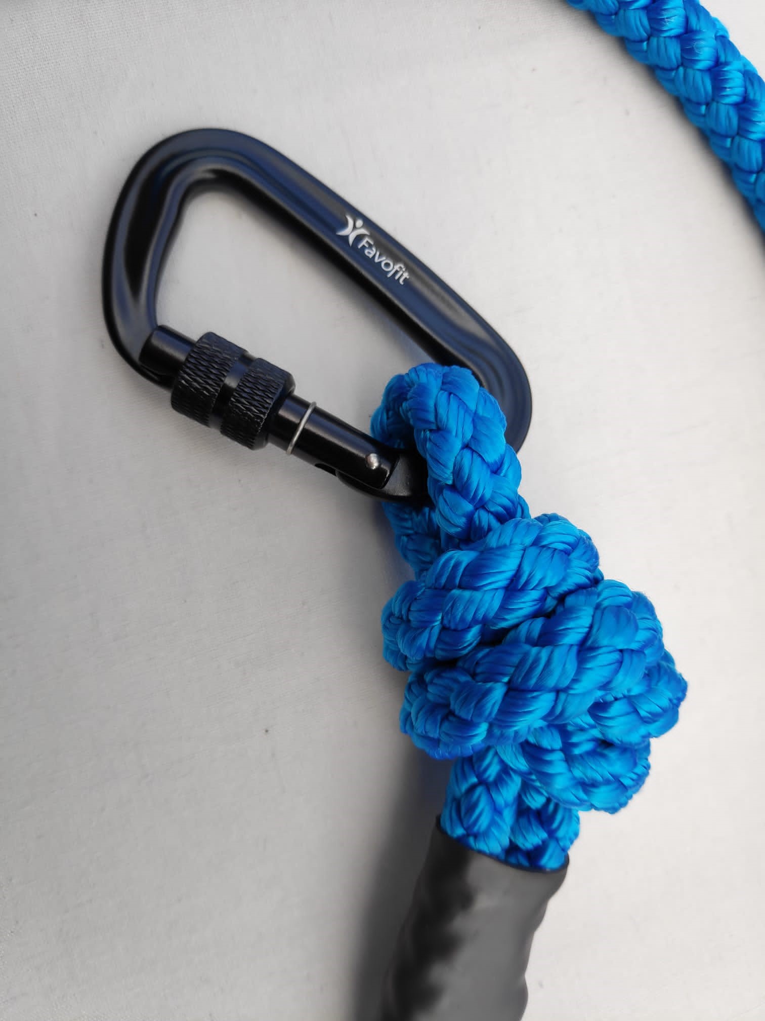 Delta Commander Training Lead 2 metre Royal Blue from Catdog Store