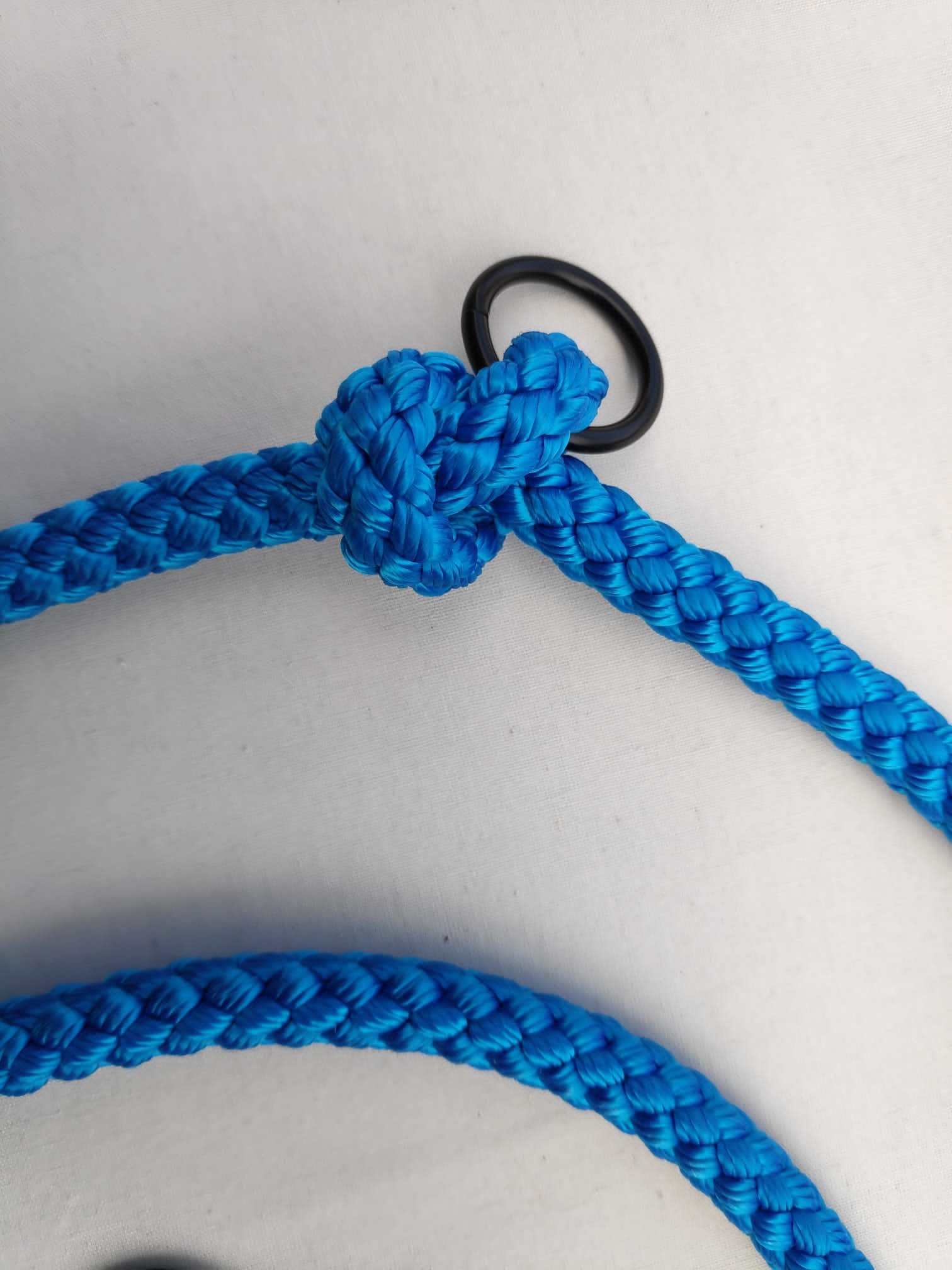 Delta Commander Training & Hands Free Rope Double Ended Dog Lead | 2 Metre | Royal Blue - Image 5