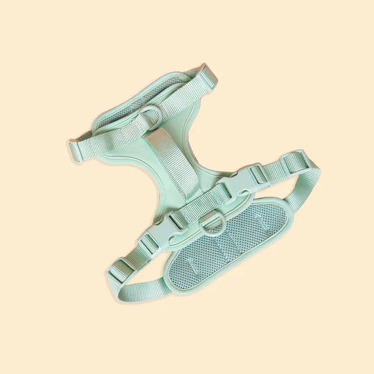 Westley Harness Seafoam from Catdog Store