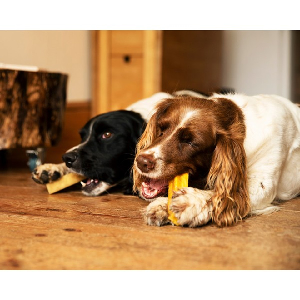 Petello Yak Cheese With Turmeric Dog Chew | Medium | 75g - Image 3