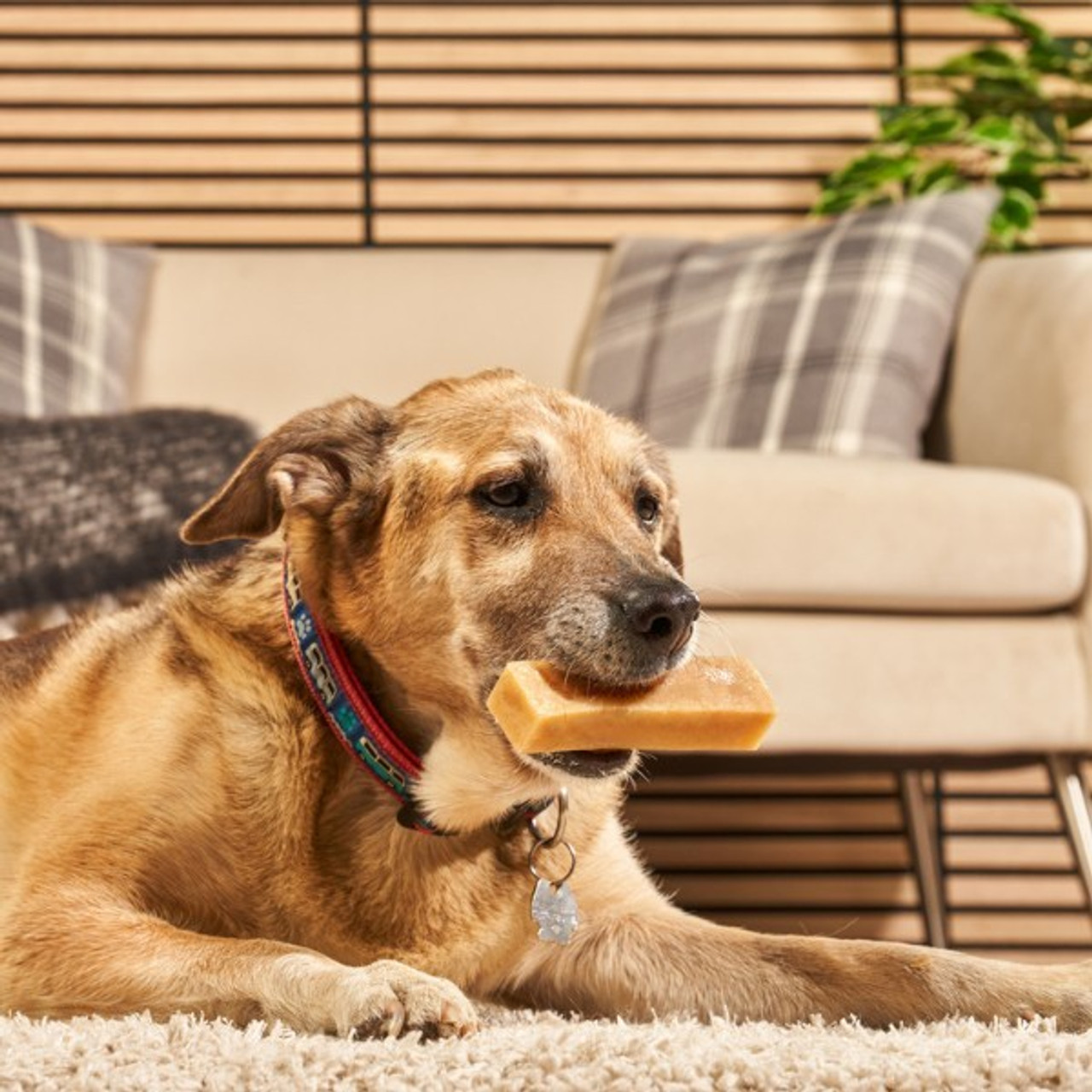 Petello Yak Cheese with Peanut Butter Dog Chew | Extra Large | 155g - Image 3