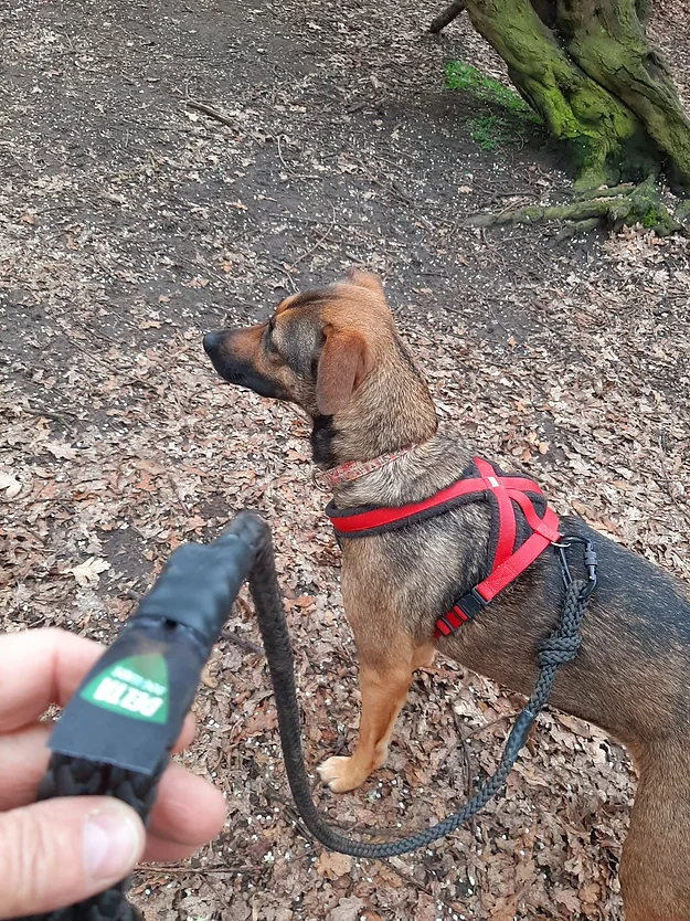 Delta Patrol Rope Dog Lead | 1.3 Metre | Black - Image 4