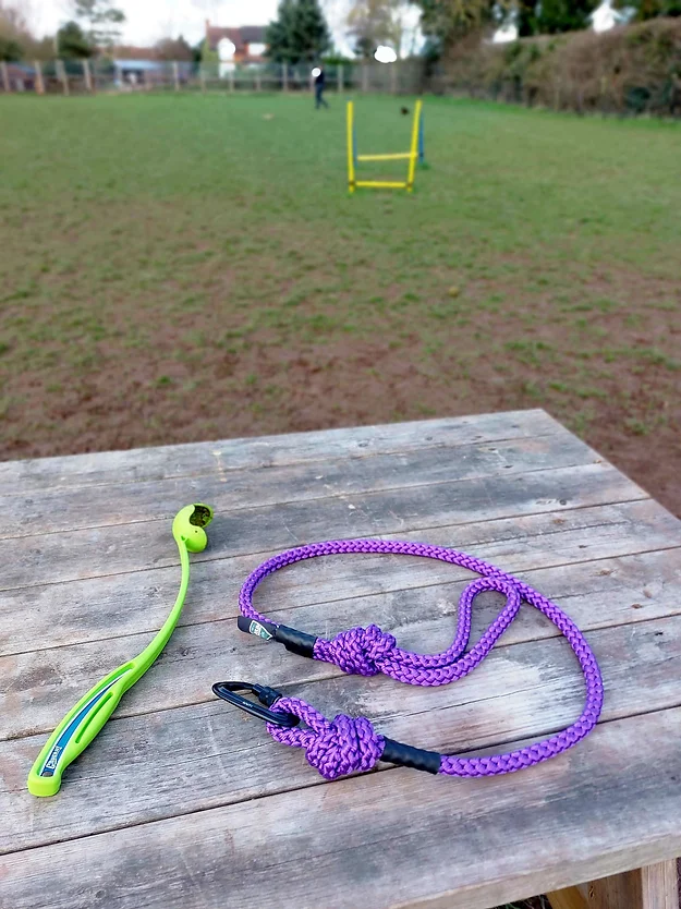Patrol Rope Dog Lead Purple from Catdog Store