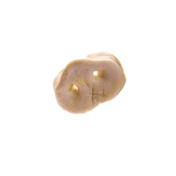 Doodles Deli Air Dried Pig Puffed Snout from CATDOG Store