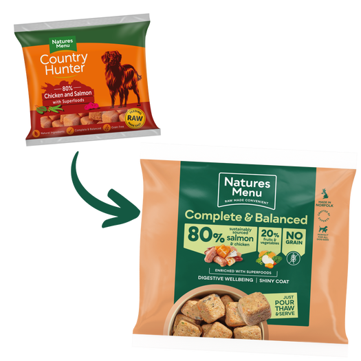 Natures Menu Frozen Salmon Dog Nuggets Grain Free 1kg from Catdog Store