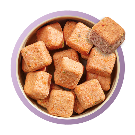 Natures Menu Frozen Farm Reared Turkey Dog Nuggets Grain Free 1kg - Image 3