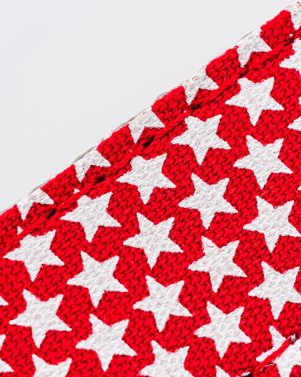 Hugo & Hudson Fabric Dog Lead - Red Star from Catdog Store