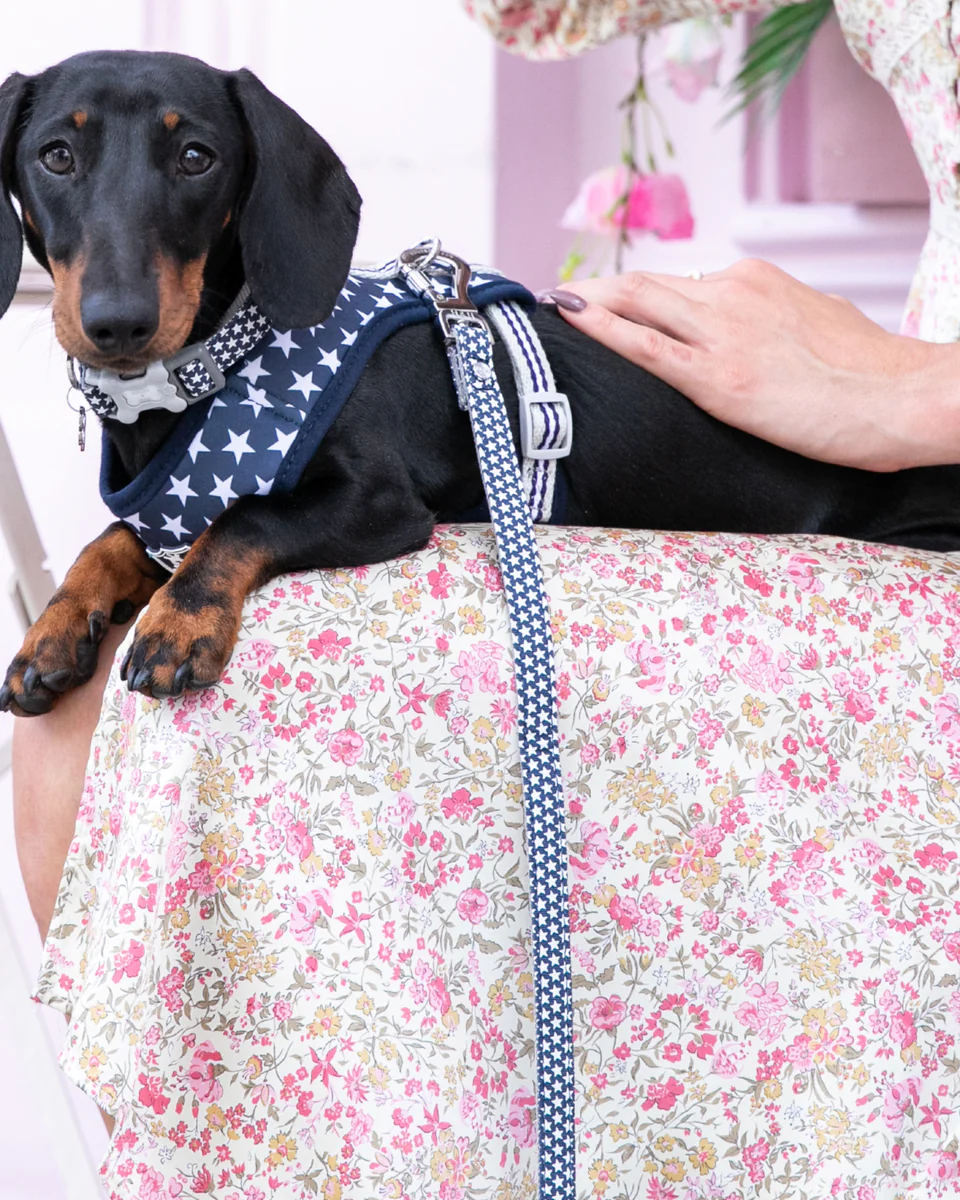 Hugo & Hudson Navy Star Fabric Dog Lead from Catdog Store