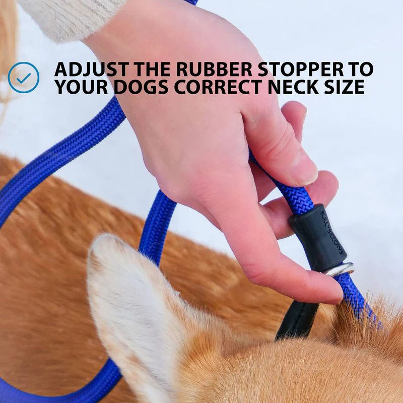 BULLYBILLOWS Slip Lead | Anti-Pull & Anti-Choking Training Lead - Khaki from Catdog Store
