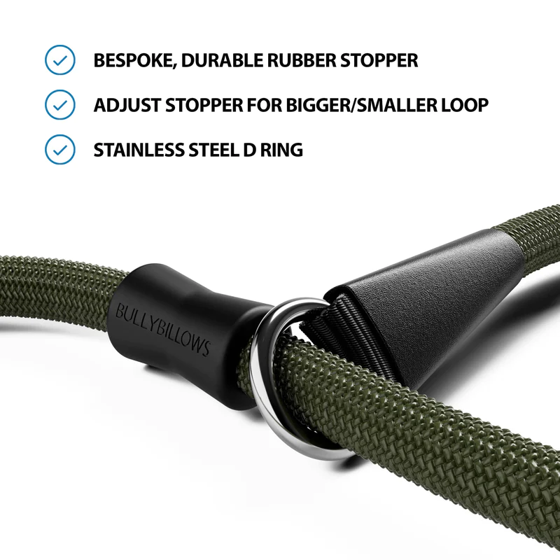 BULLYBILLOWS Slip Lead | Anti-Pull & Anti-Choking Training Lead - Khaki from Catdog Store