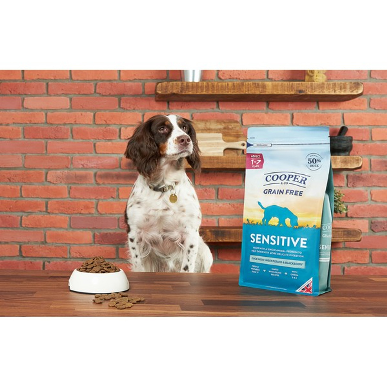 Cooper & Co Sensitive Duck with Sweet Potato and Blackberry 10kg from Catdog Store