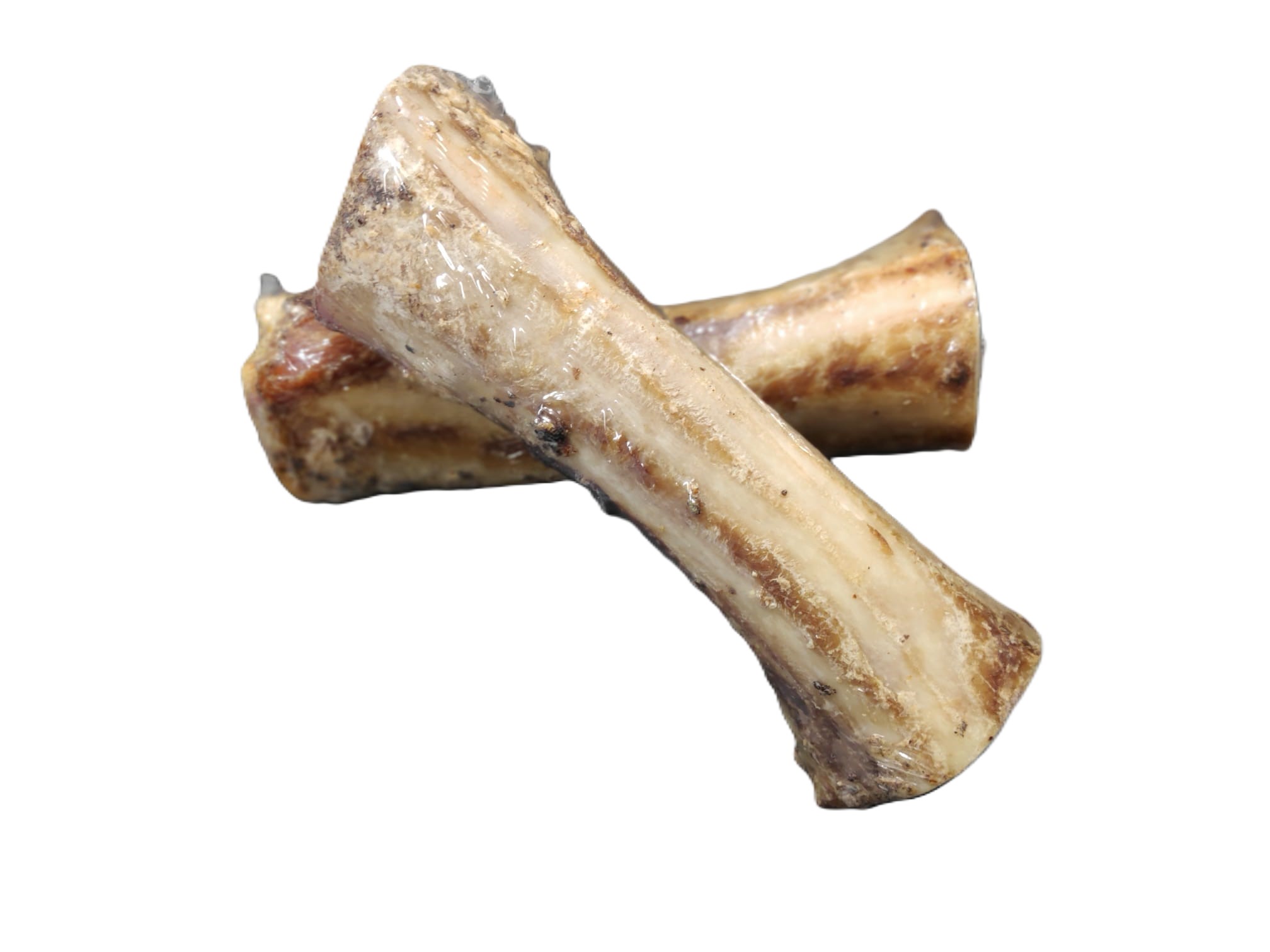 Marrow Bone x 2 from Catdog Store