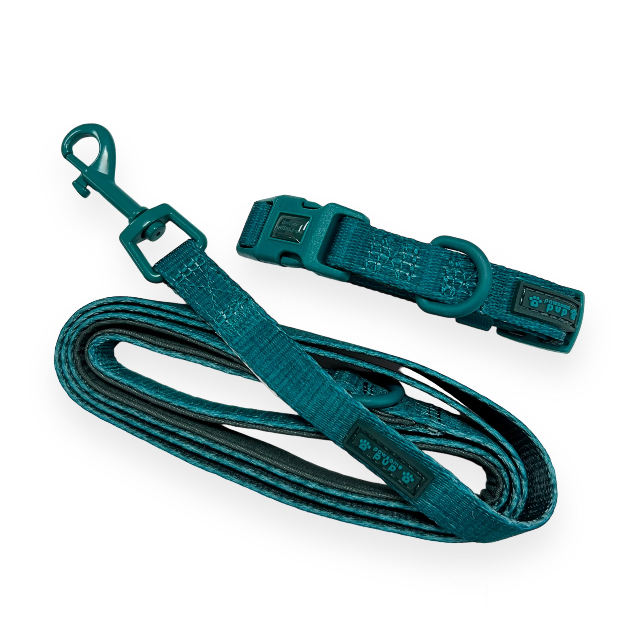 Pawsome Pup Collar and Lead Set - Teal from Catdog Store