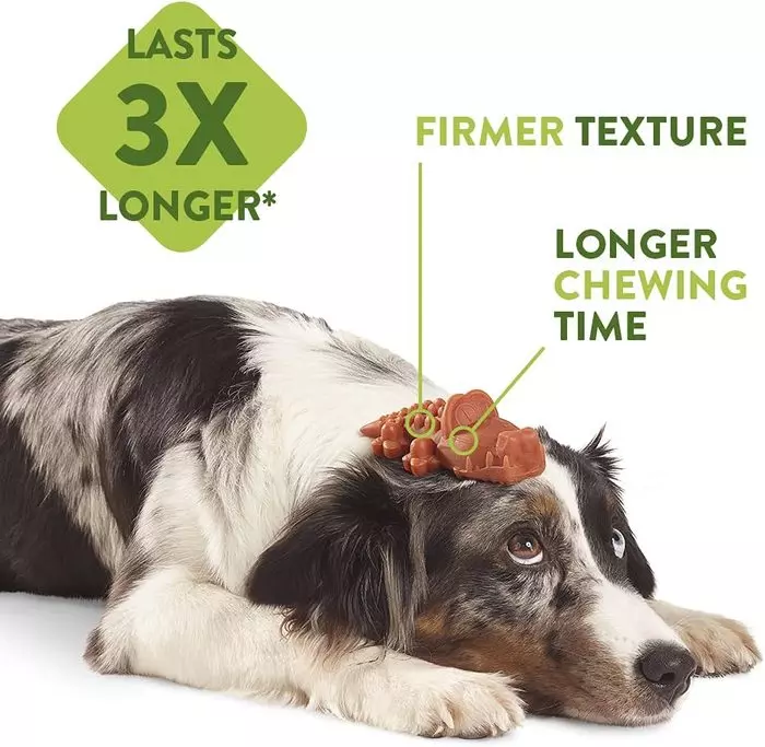 Whimzees M/L Rice Bone Dental Dog Chew | Single - Image 5