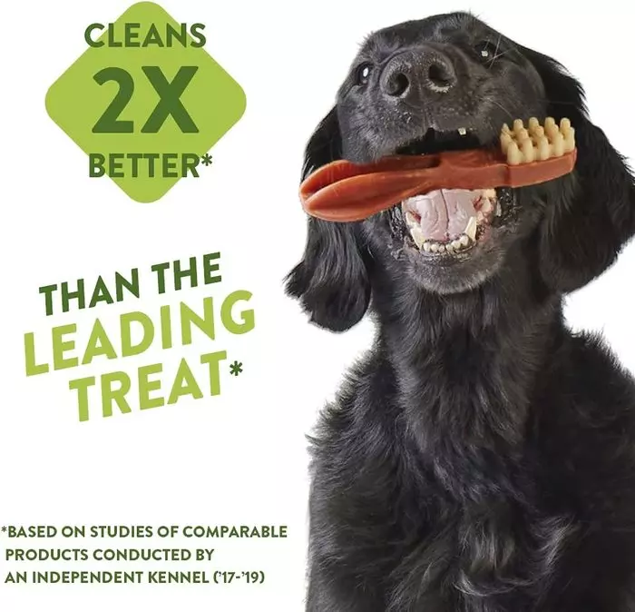 Whimzees M/L Rice Bone Dental Dog Chew | Single from Catdog Store