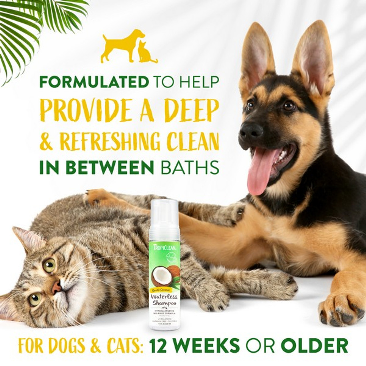 TropiClean Waterless Shampoo Hypoallergenic 220ml | Dog & Cat - Image 5