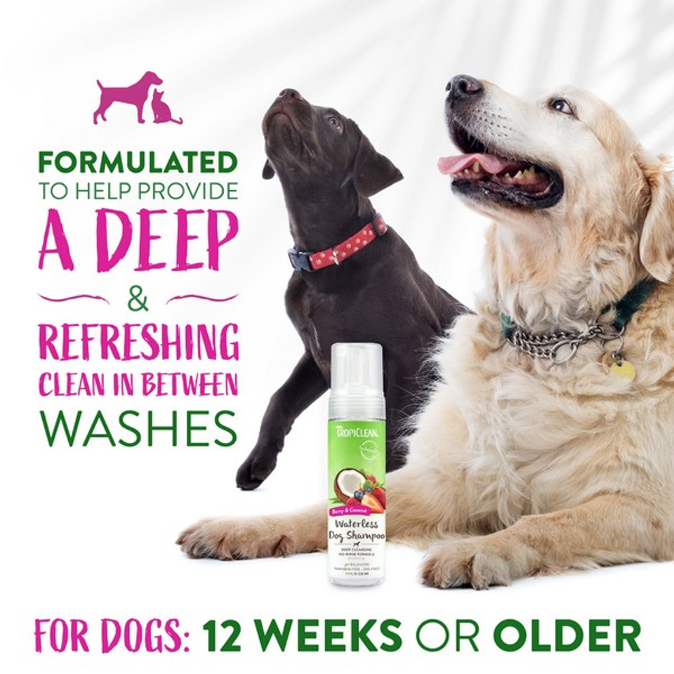 TropiClean Waterless Dog Shampoo Deep Cleaning 220ml - Image 5